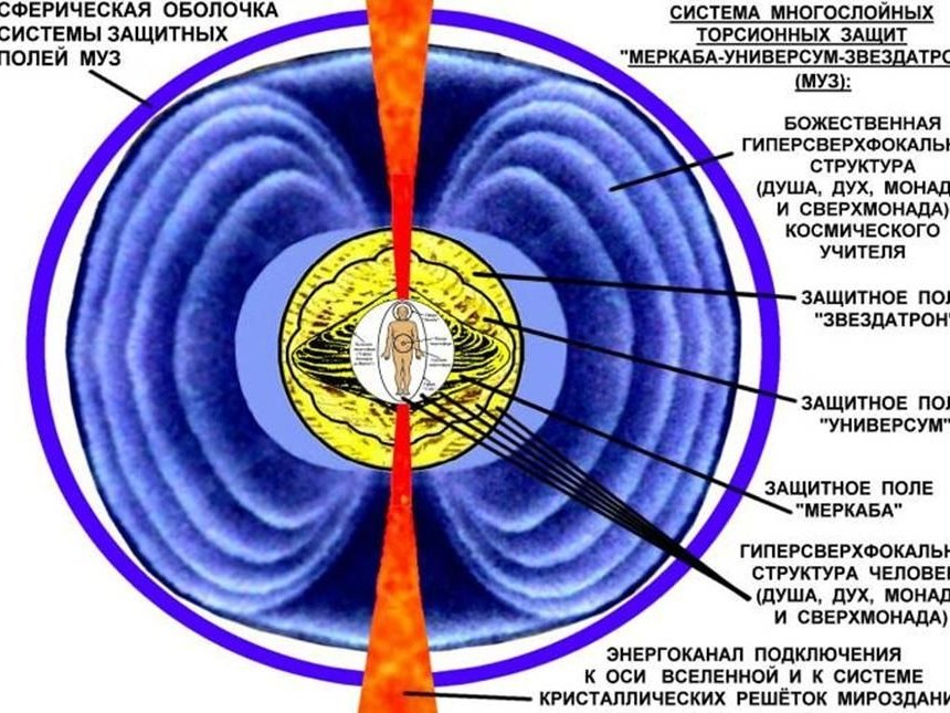 Магнитное поле человека схема