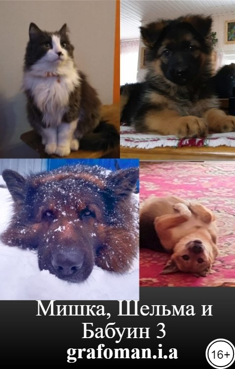 Обложка книги grafoman.i.a Мишка, Шельма и Бабуин 3