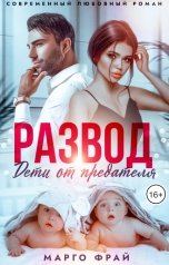 обложка книги Марго Фрай "Развод. Дети от предателя."
