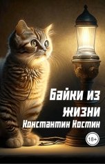 обложка книги Константин Костин "Байки из жизни"