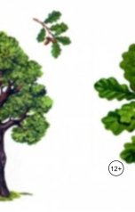 обложка книги Александр Посохов "Басни про кошек и собак"