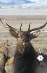 обложка книги Александр Посохов "Басни про начальников"