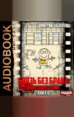 обложка книги Распопов Дмитрий "Связь без брака. Книга 4. Время собирать камни"