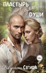 обложка книги Валентина Сегида "Пластырь для души"