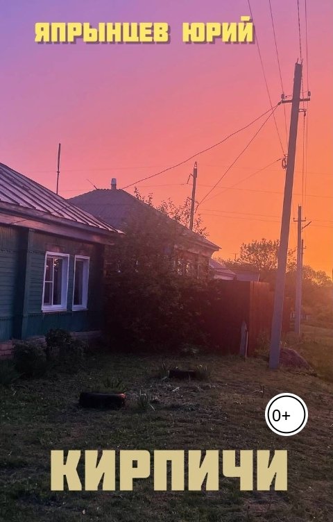 Обложка книги Япрынцев Юрий Кирпичи
