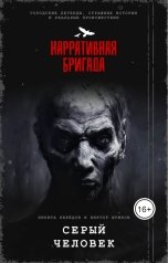 обложка книги Нарративная Бригада, Виктор Шумков, Никита Нефёдов "Серый человек"