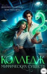 обложка книги Екатерина Евлампьева, Kristina Begal "Колледж Мифических существ"