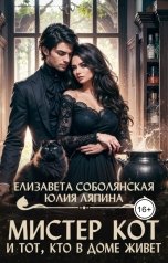 обложка книги Елизавета Соболянская "Мистер Кот и тот, кто в доме живет"