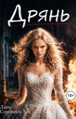 обложка книги Лара Сорокина "Дрянь"