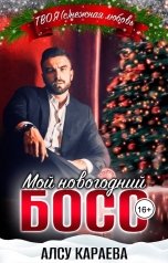 обложка книги Алсу Караева "Мой новогодний босс"