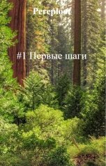 обложка книги Pereploot "#1 Первые шаги"