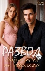 обложка книги Элина Витина "Развод. Собери меня по осколкам"