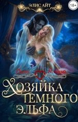 обложка книги Элис Айт "Хозяйка темного эльфа"