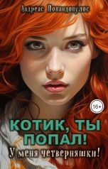 обложка книги Андреас Попандопулос "Котик, ты попал! У меня четверняшки!"