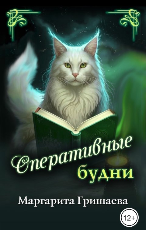 Оперативные будни