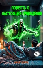 обложка книги Кирилл Зоркий "Повесть о настоящем приведении"