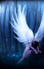 обложка книги Андрей   Абсолют, нет "карма терапия"