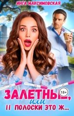 обложка книги Инга Максимовская "Залетные, или две полоски это ж..."