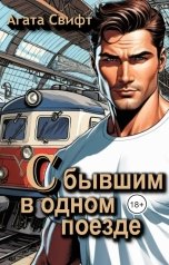обложка книги Агата Свифт "С бывшим в одном поезде"