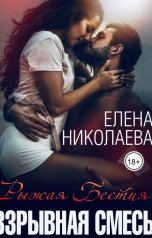 обложка книги Елена Николаева "Взрывная смесь"