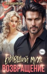 обложка книги Соня Вишнякова "Бывший муж. Возвращение"