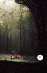 обложка книги Darya Samsonova "Мой мальчик"
