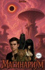 обложка книги Дари Псов "Магинариум"