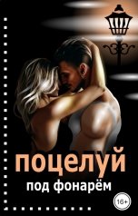 обложка книги Эйшель "Поцелуй под фонарём"