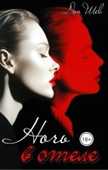 обложка книги Диа Шев "Ночь в отеле"