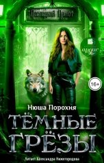 обложка книги Нюша Порохня "Тёмные грёзы"