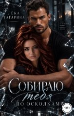 обложка книги Лёка Гагарина "Собираю тебя по осколкам"