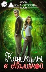 обложка книги Ника Морозова "Каникулы с Малинкой"