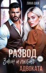 обложка книги Лина Шах "Развод. Закон и любовь адвоката"
