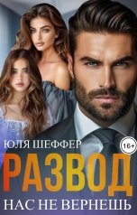 обложка книги Юля Шеффер "Развод. Нас не вернешь"