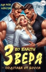 обложка книги Ада Рейк, Мэри Тэй "Во власти зверя. Подстава от босса"
