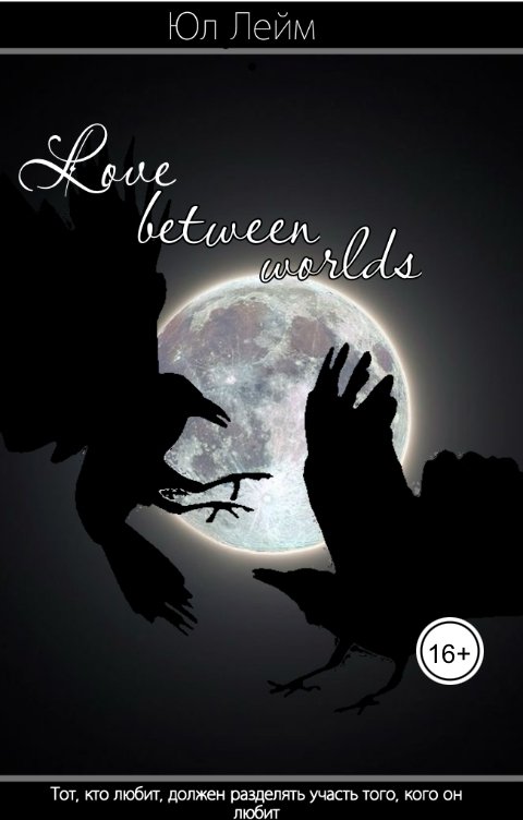 Обложка книги Ul Leim Любовь между мирами