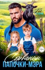 обложка книги Тая Шторм "Сорванцы для папочки мэра"