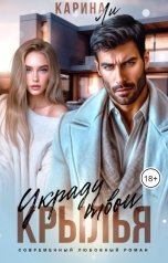 обложка книги Карина Ли "Украду твои крылья"
