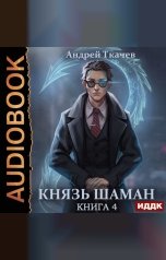 обложка книги Ткачев Андрей "Князь шаман. Книга 4"