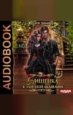обложка книги Юлия Зимина "Нищенка в элитной академии"