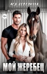 обложка книги Ася Невеличка "Мой жеребец"