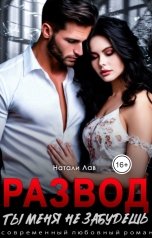 обложка книги Натали Лав "Развод. Ты меня не забудешь"