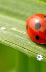 обложка книги Александр Посохов "Басни как басни"