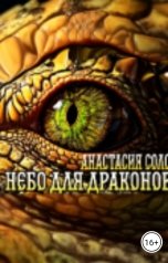 обложка книги Анастасия Соло "Небо для драконов"