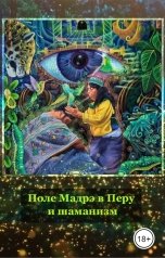 обложка книги lanaks "Поле Мадрэ в Перу и шаманизм"