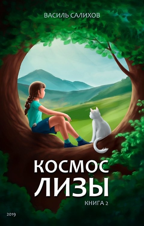 Обложка книги Салихов Василь Космос Лизы. Книга 2