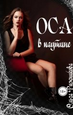 обложка книги Ольга Ружникова "Оса в паутине"