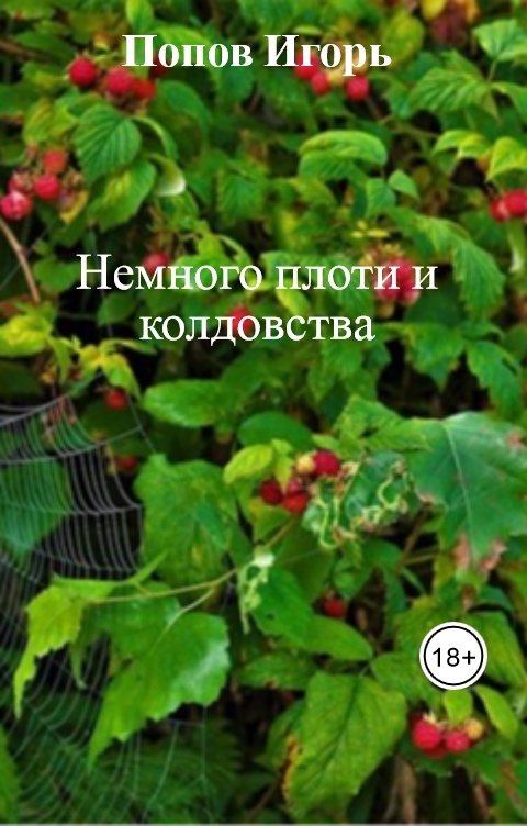 Обложка книги Попов Игорь Немного плоти и колдовства