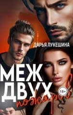 обложка книги Дарья Лукешина "Меж двух пожаров"