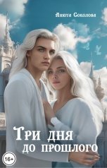 обложка книги Анюта Соколова "Три дня до прошлого"